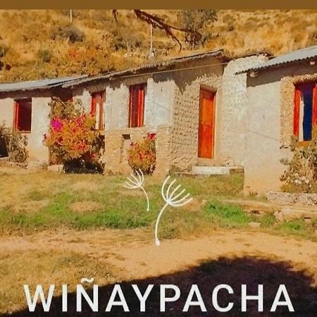 Winaypacha Guest House Comunidad Yumani Exterior photo